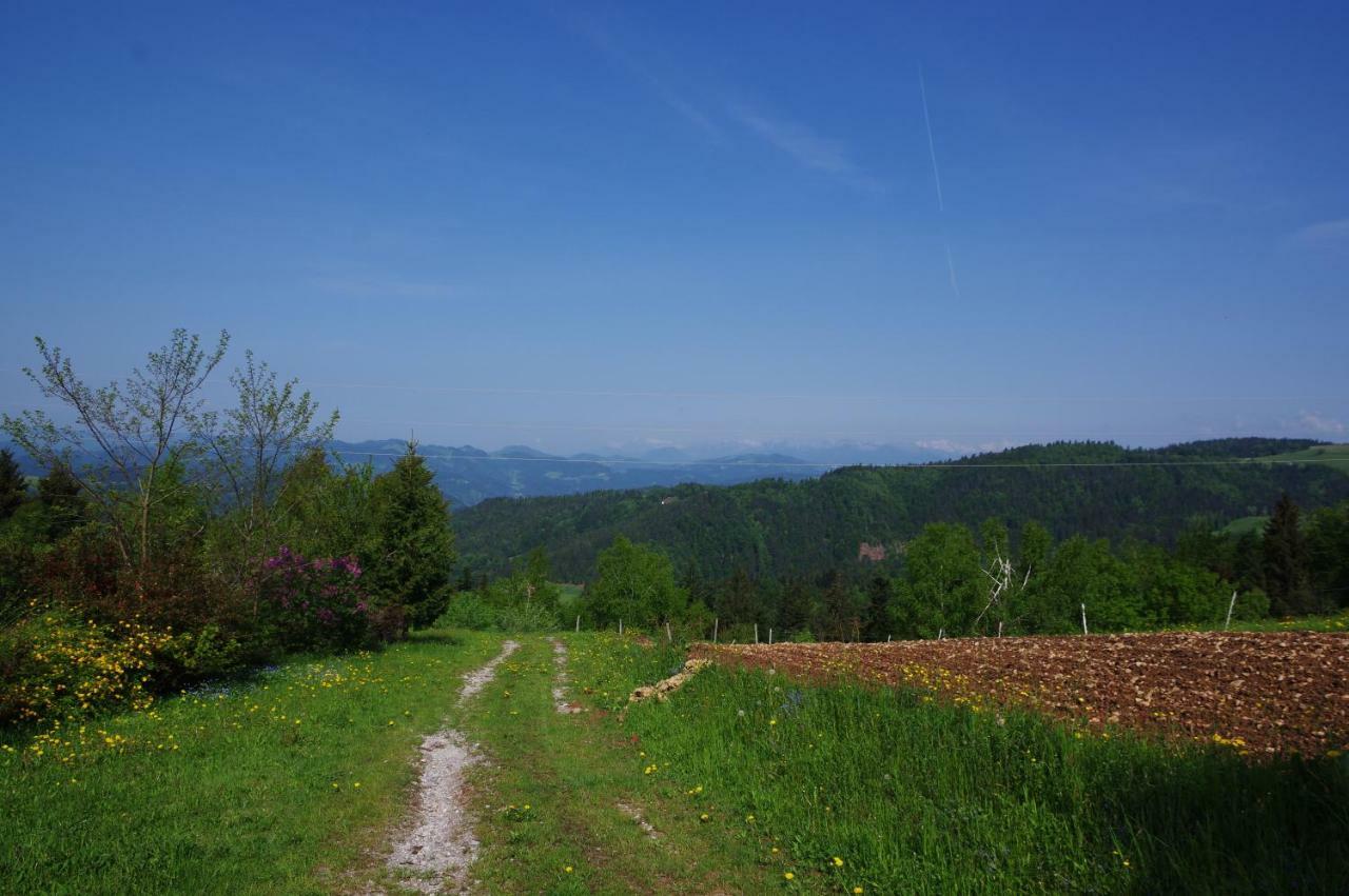 Holiday Home Forest Peace, Lavrovec Hlevni Vrh Esterno foto